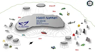 Habili Nakkari